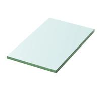 vidaXL Panel de Estante Vidrio Claro 20x12 cm