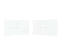 vidaXL Panel Lateral de Tienda para Fiestas 2 uds. 400 x 195 cm Blanco