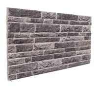 vidaXL Paneles de pared 10 uds. 100 x 50 cm Gris antracita Espuma EPS
