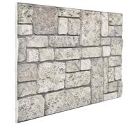 vidaXL Paneles de pared 10 pcs 100 x 50 cm Espuma EPS Multicolor Gris