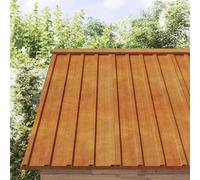 vidaXL Paneles de tejado – Lámina de techo para garaje, 12 uds acero corten oxidado 60x44 cm