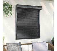 vidaXL Persiana enrollable Manual Antracita 100 x 120 cm