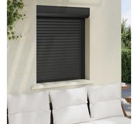 vidaXL Persiana enrollable Manual Antracita 80 x 100 cm