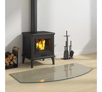 vidaXL Placa de vidrio para chimenea Transparente 100 x 50 cm Cristal