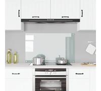 vidaXL Salpicadero de cocina 100x60 cm Vidrio templado, resistente al calor y rayaduras, Transparente
