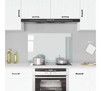 vidaXL Protector salpicaduras cocina Vidrio templado 90x60 cm Protección anti-grasa, fiable