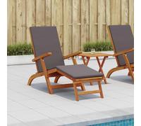 vidaXL Recliner y tumbona plegable 2 pcs Gris oscuro