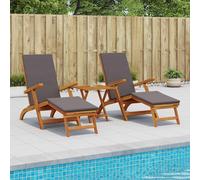 vidaXL Recliner y tumbona plegable 2 uds. Madera de Acacia Sólida Gris