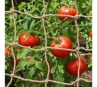 vidaXL Red de soporte para plantas de yute Natural 1 x 100 m