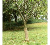 vidaXL Rollo de yute 0,5x5 m 100% yute 200 g/m²