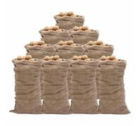 vidaXL Sacos de Yute 10 uds, Bolsas de Arpillera, Protección de Plantas Invierno, Sacos para Tubérculos Nueces, 65x135 cm 100% Yute 220 g/m²
