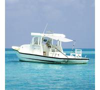 vidaXL Set de toldo T-Top extensión blanco 174x205x(115-194) cm