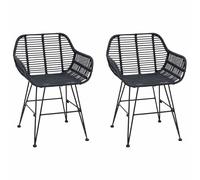 vidaXL Silla de comedor Ratan e Hierro – 2 piezas Negro 55x50x74 cm – Moderna y minimalista
