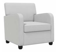vidaXL Sillón Gris Claro Terciopelo