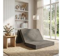 vidaXL Sofá Cama Plegable 100 x 67 x 45 cm Gris Claro