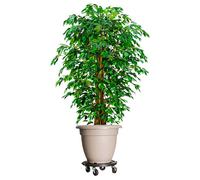 vidaXL Soporte con ruedas para plantas 2 uds negro diámetro 40cm 275kg