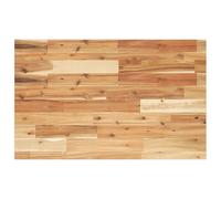 vidaXL Tablero escritorio madera maciza acacia sin tratar 100x50x2 cm