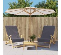 vidaXL Toallas de playa 2 uds tela gris antracita 400 g/m² 60x135 cm