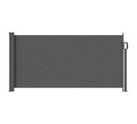 vidaXL Toldo lateral retráctil Gris antracita 300 x 100 cm Poliéster