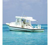 vidaXL Toldo T-Top extensión blanco 170x170x(115-183) cm