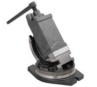vidaXL Tornillo de banco basculante de 2 ejes 100 mm
