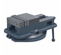 vidaXL Tornillo de banco giratorio hierro fundido 160 mm