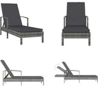 vidaXL Tumbona de jardín con reposabrazos, tejido de polirratán, color gris - Tumbona - Tumbonas - Silla reclinable - Sillas reclinables
