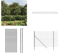 vidaXL Valla de alambre galvanizada, color antracita, 2 x 25 metros. Valla de alambre, vallas de alambre, valla para jardín, malla metálica