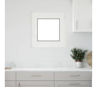 vidaXL Ventana de sótano oscilante y abatible RISOR 60 x 60 cm