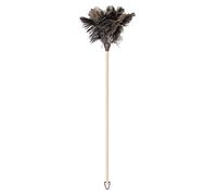 Vigar - Plumero - Plumas Naturales de Avestruz - 9 x 8 x 74 cm - Limpia Muebles Altos, Repisas y Decoración - Cepillo Atrapapolvo Multiusos