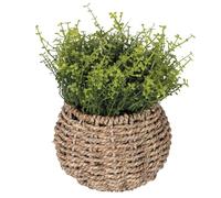 Villa d'Este Home Tivoli Planta Artificial Soleirolia en Maceta de Fibra Natural, diámetro 14 x 20 cm