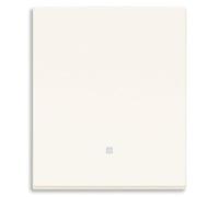 VIMAR 30012.2B Inversor Línea alineada iluminable, botón reemplazable, blanco, 2 módulos, Max 100 W para lámparas con fuente de alimentación integrada (IEC 60669-1:2017)
