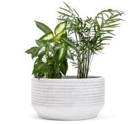 Vimin Box Jarrón grande y elegante de terracota | Maceta decorativa moderna para plantas, flores, plantas suculentas, árboles pequeños | de interior o exterior (blanco/gris, diámetro 28 - h.15 cm)