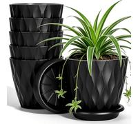 VINATO Juego de 6 Macetas con Plato, Negro, 10cm - Maceteros de Plástico PP para Interior, Decorativas para Suculentas, Cactus y Hierbas