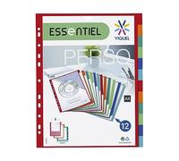 Viquel 153987-06 - Maxi separador personalizable, de polipropileno, 12 posiciones