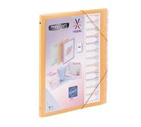 Viquel - Archivador Propysoft A4 de 12 compartimentos, cierre elástico, color melocotón