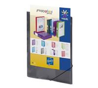 Viquel - Camisa de plástico con elástico - Bolsillo personalizable - Tamaño A4 - Calidad superior - Fabricado en Francia - Gris translúcido