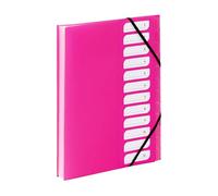 Viquel - Clasificador de documentos A4 con 12 compartimentos - Organizador de escritorio extensible - Portadocumento A4 con índices - Cierre elástico - Gama FEEL'EASY - Rosa