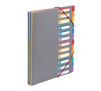 Viquel - Clasificador de documentos A4 con 12 compartimentos - Organizador de escritorio extensible - Portadocumento A4 con índice - Cierre elástico - Rainbow Touch Gris
