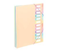 Viquel - Clasificador de documentos A4 con 12 compartimentos Rainbow Pastel