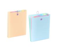 VIQUEL CLASIFICADOR EXPANDIBLE A4 6 COMPARTIMENTOS PASTEL VERTICAL RAINBOW PASTEL 25x33x3 Cms.