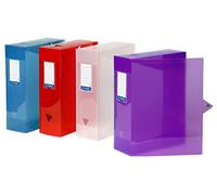Viquel Class Docs Propyglass - Juego de 4 cajas de índice en Polypro ancho de 100 mm), varios colores