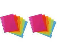 VIQUEL - Juego de 6 separadores polypro A4 maxi. Colores neón multicolores (Paquete de 2)