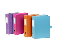 Viquel - Juego de 8 cajas de archivo de plástico - Caja archivadora con cierre de botón a presión - Caja de almacenamiento a juego - Parte trasera de 6 cm