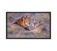 Viquel León - Protector de escritorio decorativo para niños o adultos, 59,5 x 36,2 cm, color negro