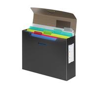 VIQUEL PROPYGLASS - Caja de clasificación A4 con 5 carpetas extraíbles (clasificador A4, color gris translúcido