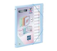 Viquel - Propysoft 12 Compartimentos A4 Personalizable Organizador - Cierre Elástica - Azul Translúcido
