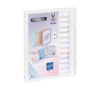 Viquel Propysoft - Clasificador de 12 compartimentos A4 personalizable (cierre elástico), transparente