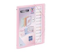 Viquel - Propysoft - Organizador A4 personalizable con 12 compartimentos (cierre elástico), color rosa translúcido