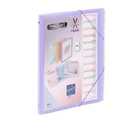Viquel - Propysoft - Organizador personalizable con 12 compartimentos (tamaño A4, cierre elástico), color morado translúcido